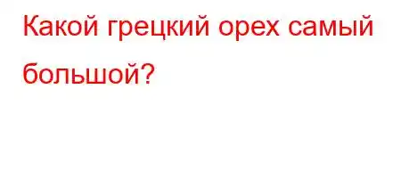 Какой грецкий орех самый большой?